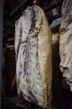 Slanina prošarana od crne svinje